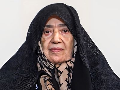 مستند «زیبایی دنباله دار» فیلمی درباره زینت السادات امامی