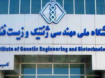 کسب رتبه اول همکاری‌های علمی بین المللی توسط پژوهشگاه ملی مهندسی ژنتیک و زیست‌فناوری