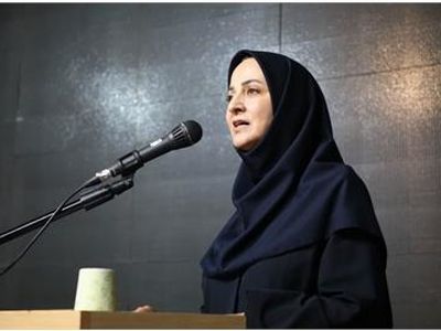  ۸۰ درصد فعالان مشاغل خانگی زنان هستند/ روستاها با مشاغل خانگی غریبه‌اند