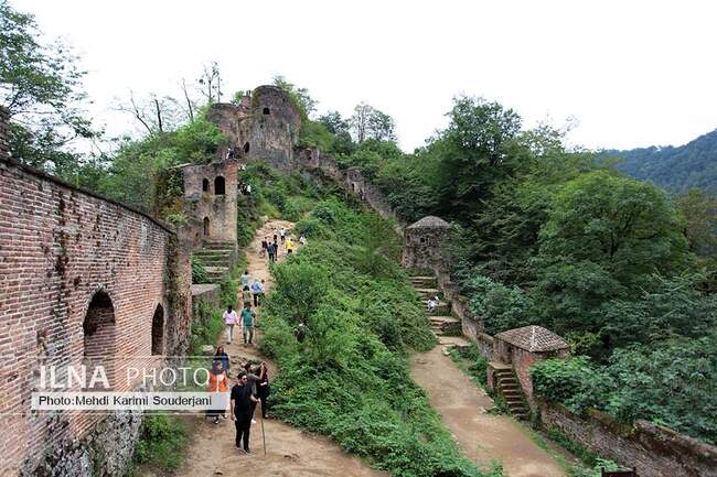 IMG_2063 copy