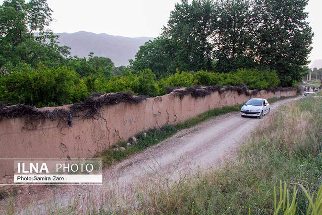 کوچه های شیراز