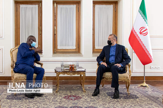 دیدار وزیر فرهنگ و گردشگری غنا با وزیر امور خارجه