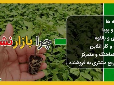 خرید سینی نشا و مراکز فروش سینی نشا