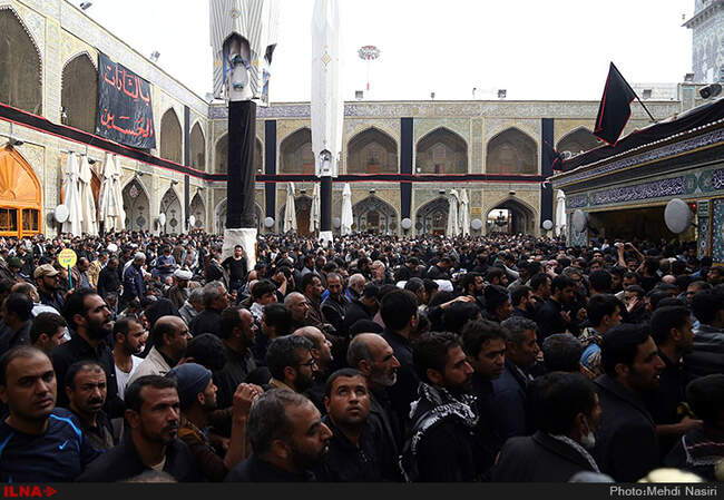 زائران اربعین حسینی در نجف اشرف/4