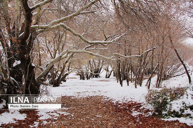 طبیعت برفی روستای قلات