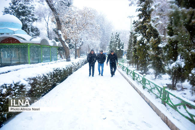 بارش برف زمستانی در قزوین