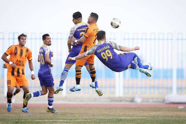 هوادار
