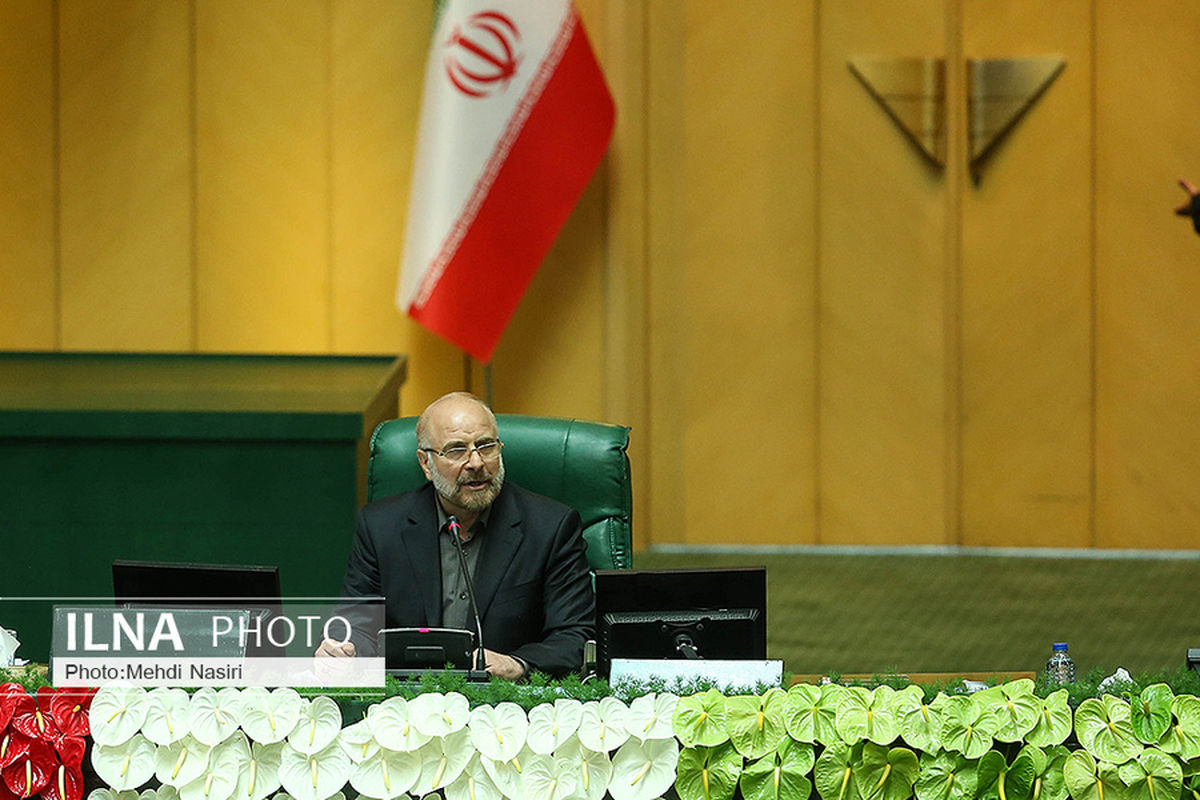 مادر شهید خرازی، نخستین مهمان رئیس مجلس