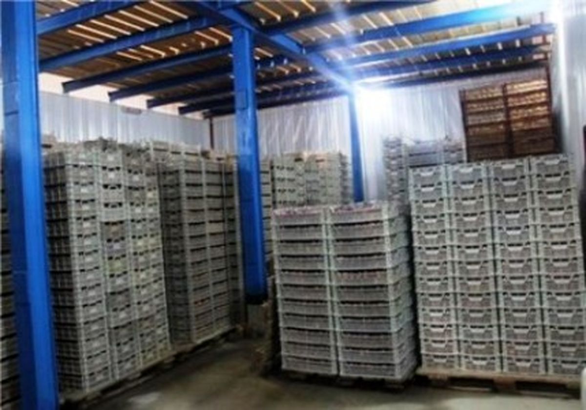  بیش از ۲۰۰۰ نفر در بخش سردخانه های آذربایجان غربی اشتغال دارند 