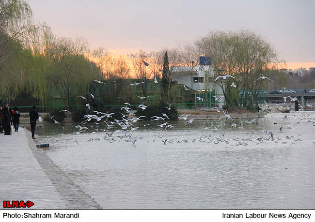 زاینده رود...