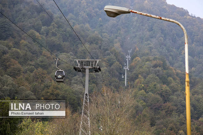 چشم انداز جنگل و دریا در قاب طبیعت