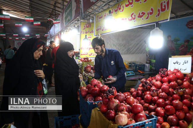جشنواره «صد دانه یاقوت»
