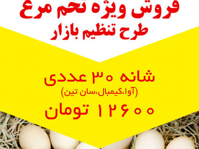 فروش ویژه تخم مرغ طرح تنظیم بازار در افق کوروش
