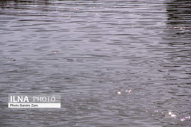 رهاسازی مرحله اول حقابه تالاب بختگان