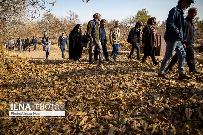 باغستان سنتی؛ میراث کهن مردم قزوین 