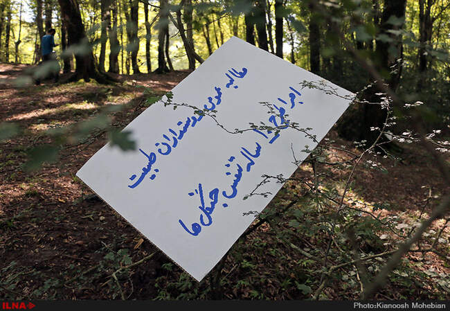 سفر معصومه ابتکار به استان مازندران