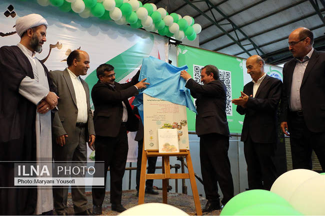 دستاوردهای کشاورزی و دامپروری بخش ایلخچی