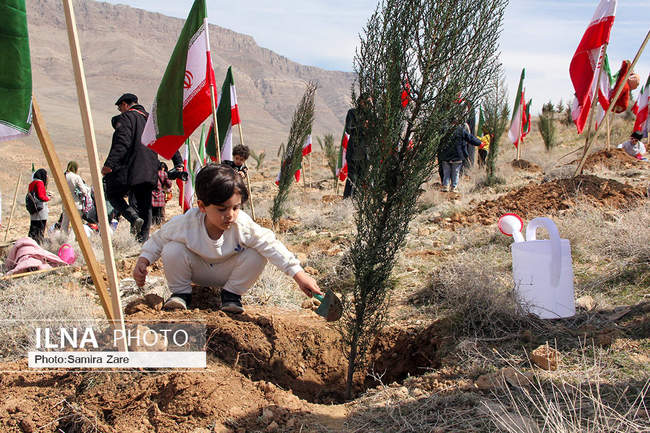 مراسم روز درختکاری