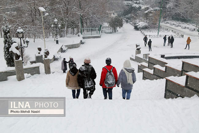 پارک ملت در یک روز برفی