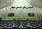 ظریف در کمیسیون امنیت ملی/ بررسی سانحه ریلی زاهدان در کمیسیون عمران