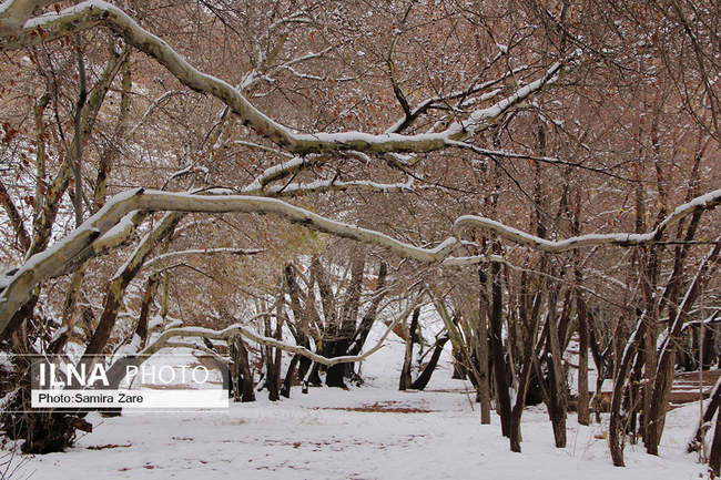 طبیعت برفی روستای قلات
