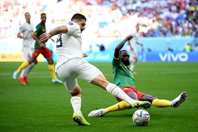 گزارش تصویری دیدار صربستان و کامرون