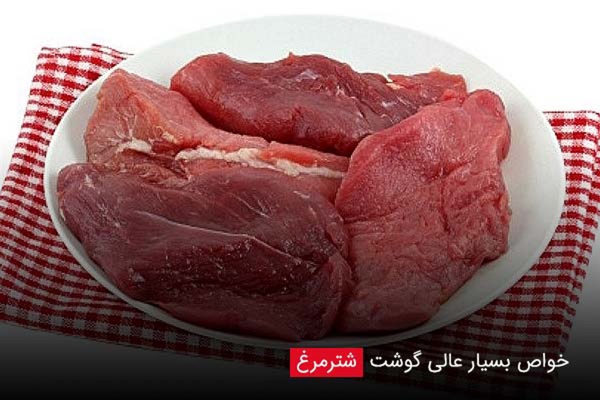 گوشت شترمرغ برای درمان چه بیماری هایی مفید است؟