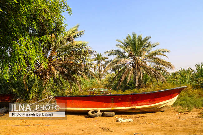 آبادان؛ شهری که هنوز بوی نفت، صدای لنج و خاطره‌ی مقاومت می‌دهد