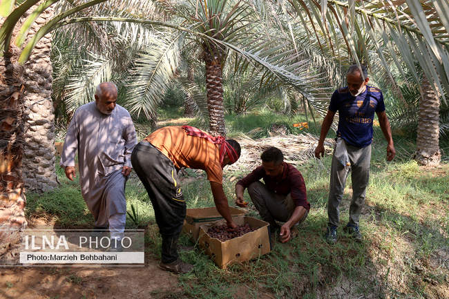 آبادان؛ شهری که هنوز بوی نفت، صدای لنج و خاطره‌ی مقاومت می‌دهد