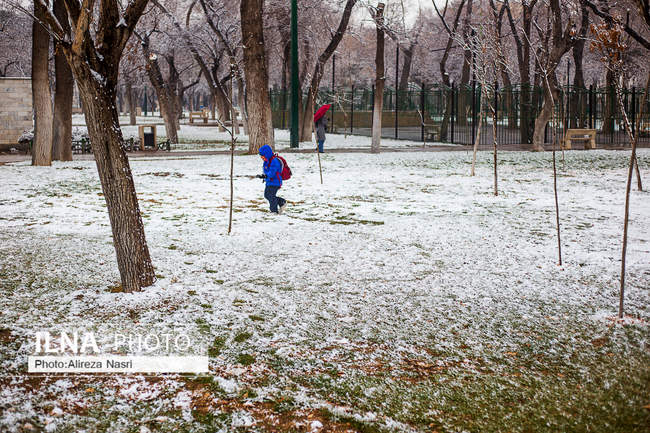 قزوین در آغوش برف به روایت تصویر