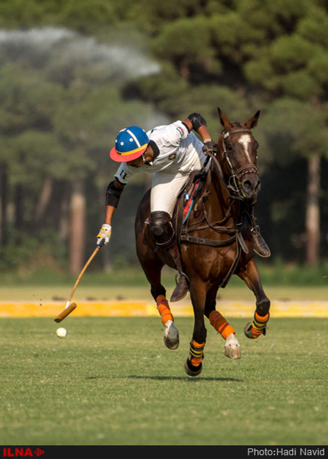 مسابقات چوگان جام قهرمانی کشور ۱۳۹۵: نزاجا-قصرفیروزه