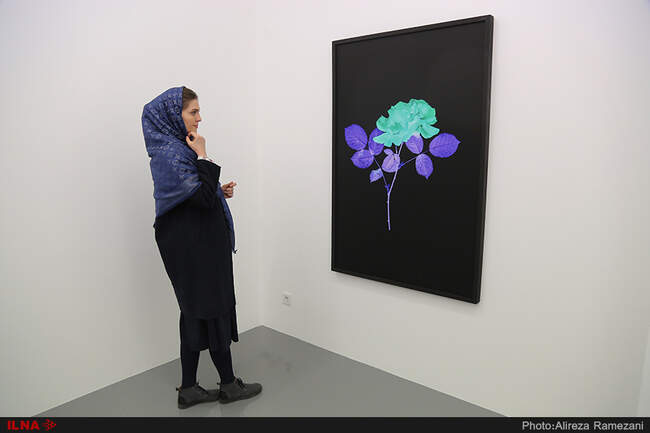 تصاویر افتتاحیه نمایشگاه عکس نیکی کریمی