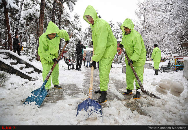 صبح برفی تهران