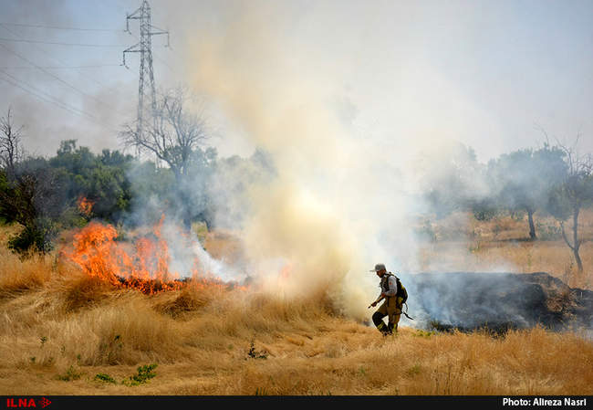 آتش در باغستان های سنتی قزوین