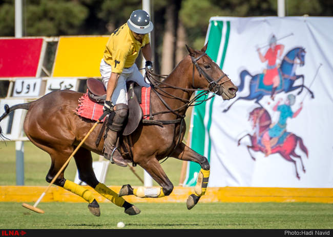 رقابتهای سه گانه چوگان هفته دولت ۱۳۹۵ - کانون چوگان/نوروزآباد