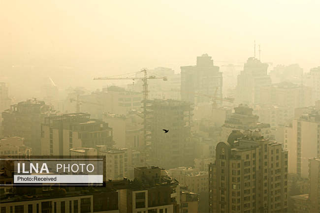نفسم گرفت از این شهر