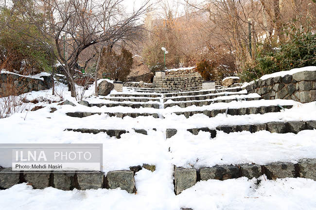 برف زمستانی پارک جمشیدیه