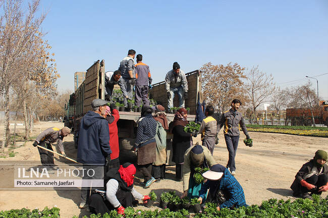 مشهد در تدارک استقبال از بهار ۱۴۰۲ 