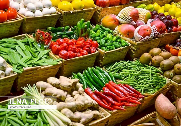 تلاش برای صادرات قارچ به روسیه