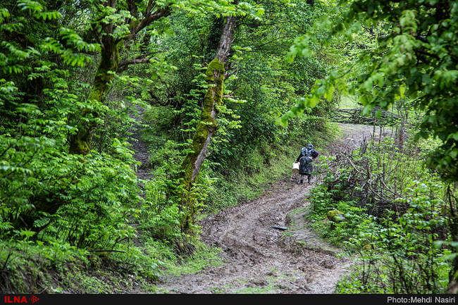 روستای دیورش
