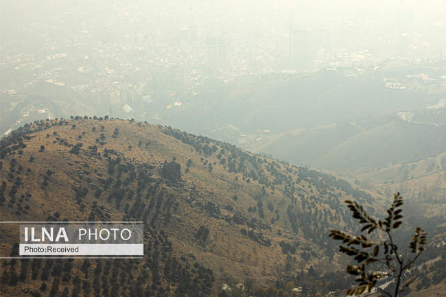 نفسم گرفت از این شهر