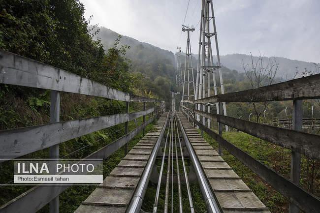 چشم انداز جنگل و دریا در قاب طبیعت