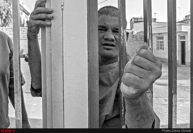 تنهایی پر هیاهو / استان قم