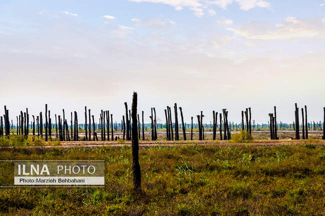 آبادان؛ شهری که هنوز بوی نفت، صدای لنج و خاطره‌ی مقاومت می‌دهد