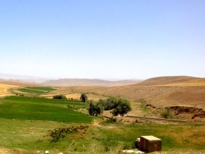 متجاوزین به حریم مراتع امسال  3 میلیارد ریال جریمه شدند