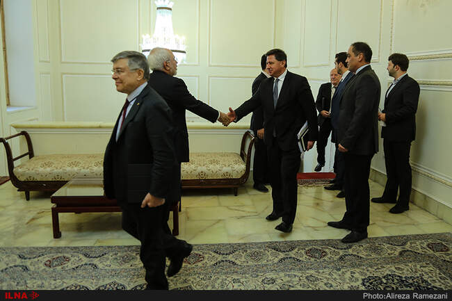 دیدار رئیس گروه دوستی ایران و پارلمان اروپا با محمد جواد ظریف