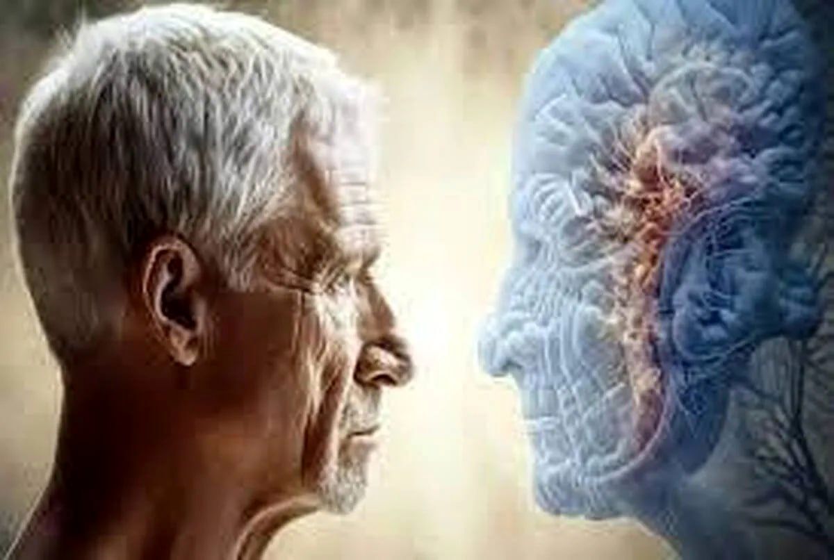 اثرات پنهان آلودگی هوا بر «پیری زودرس مغز» 