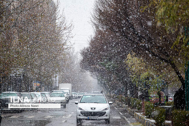  برف زمستانی