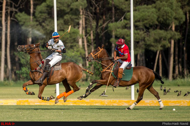 مسابقات چوگان جام قهرمانی کشور ۱۳۹۵: نزاجا-قصرفیروزه