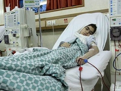 دولت باید به جای دیالیز ،پیوند کلیه را در کشور ترویج کند